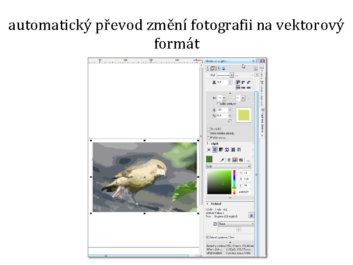 automatický převod změní fotografii na vektorový formát 