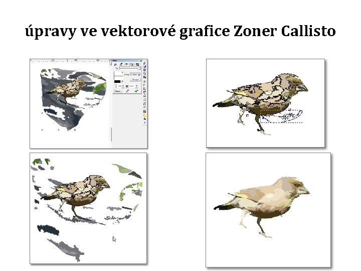 úpravy ve vektorové grafice Zoner Callisto 