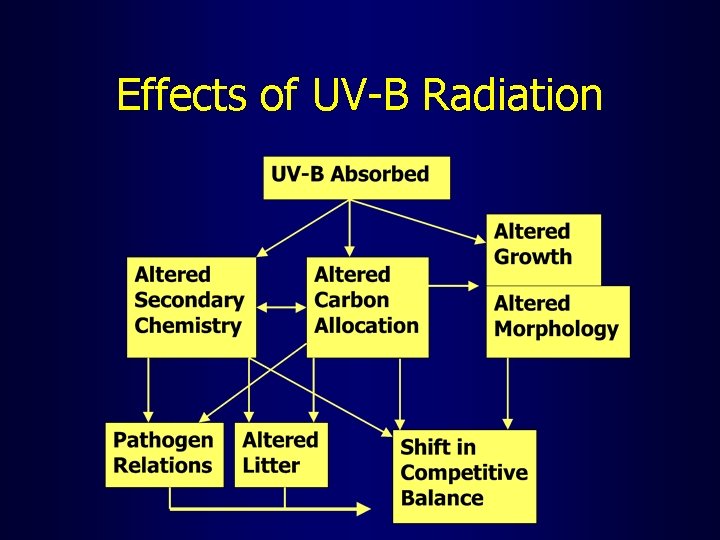 Effects of UV-B Radiation 