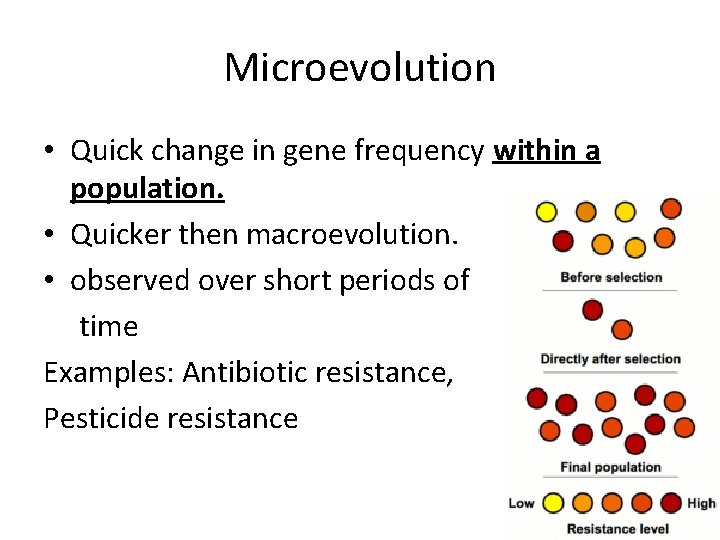 Microevolution • Quick change in gene frequency within a population. • Quicker then macroevolution.