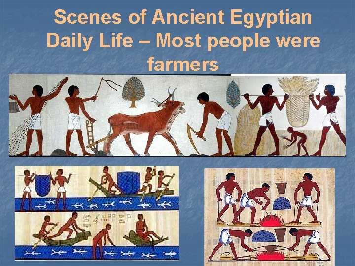 Scenes of Ancient Egyptian Daily Life – Most people were farmers 