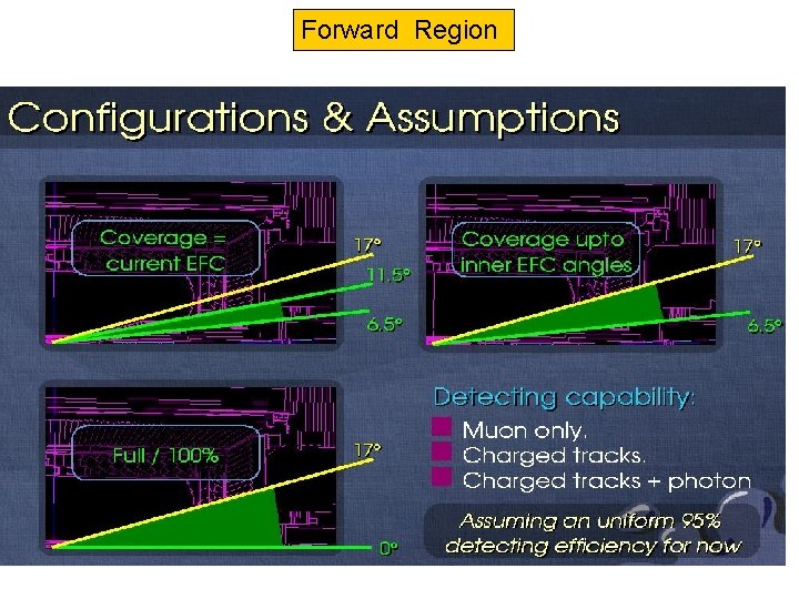 Forward Region 