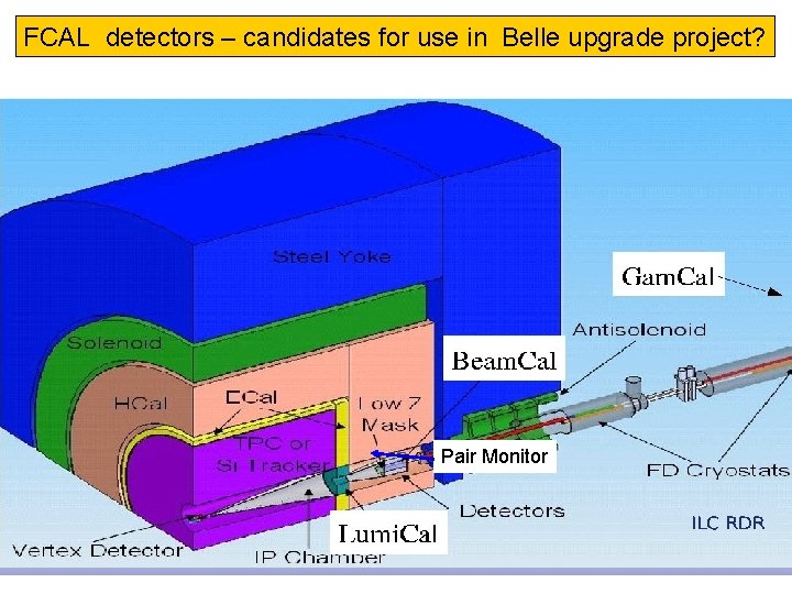 FCAL detectors – candidates for use in Belle upgrade project? Pair Monitor 