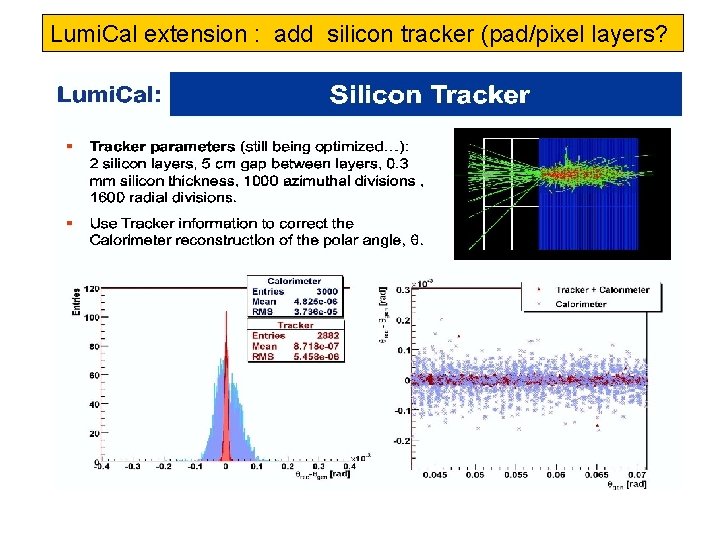 Lumi. Cal extension : add silicon tracker (pad/pixel layers? 