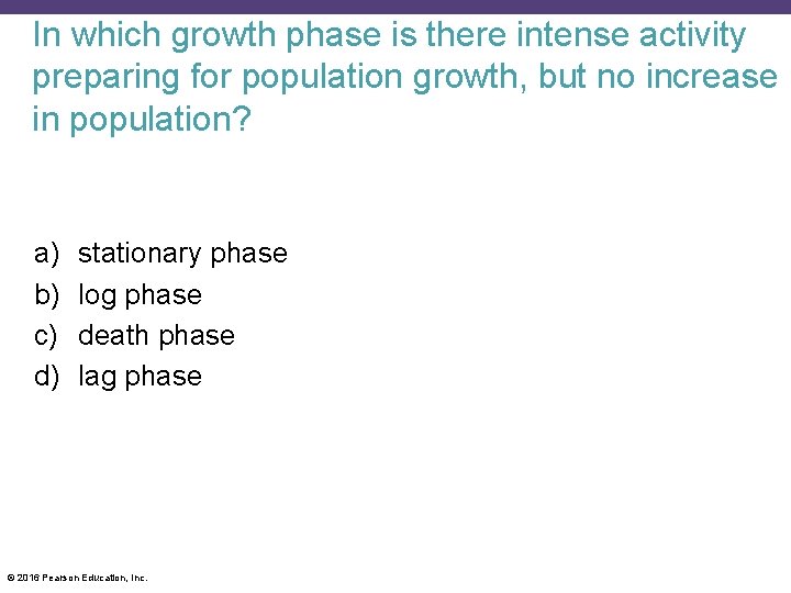 In which growth phase is there intense activity preparing for population growth, but no