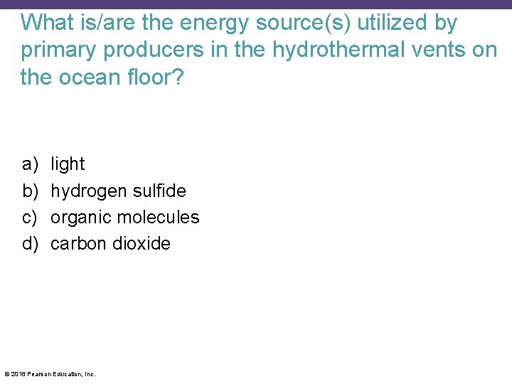 What is/are the energy source(s) utilized by primary producers in the hydrothermal vents on