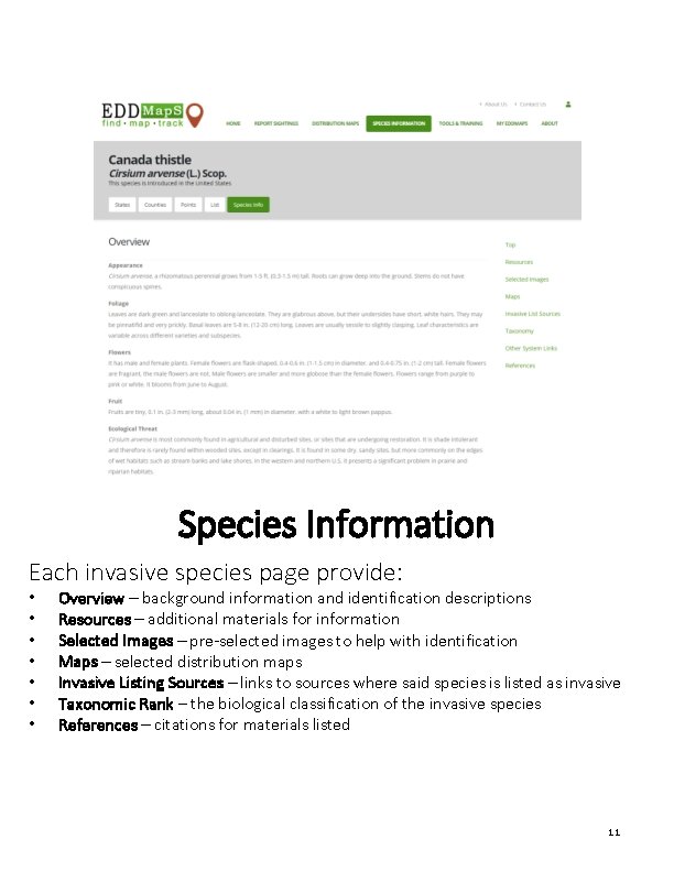 Species Information Each invasive species page provide: • • Overview ─ background information and