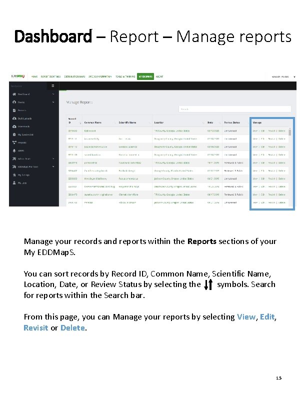 Dashboard ─ Report ─ Manage reports Manage your records and reports within the Reports
