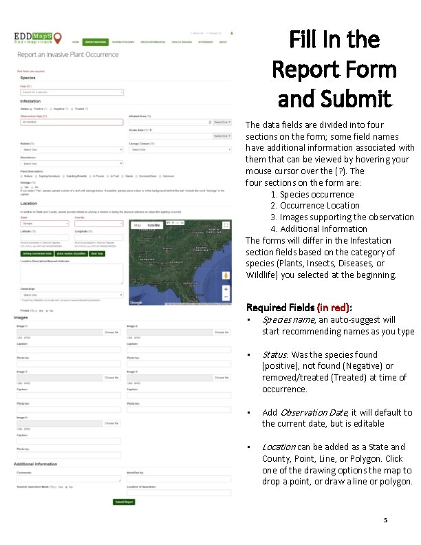 Fill In the Report Form and Submit The data fields are divided into four