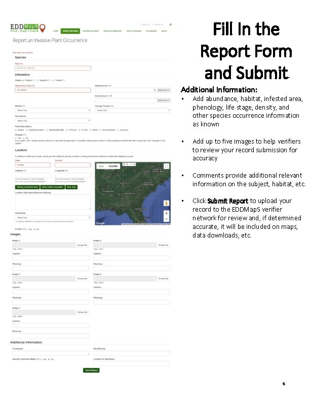 Fill In the Report Form and Submit Additional Information: • Add abundance, habitat, infested