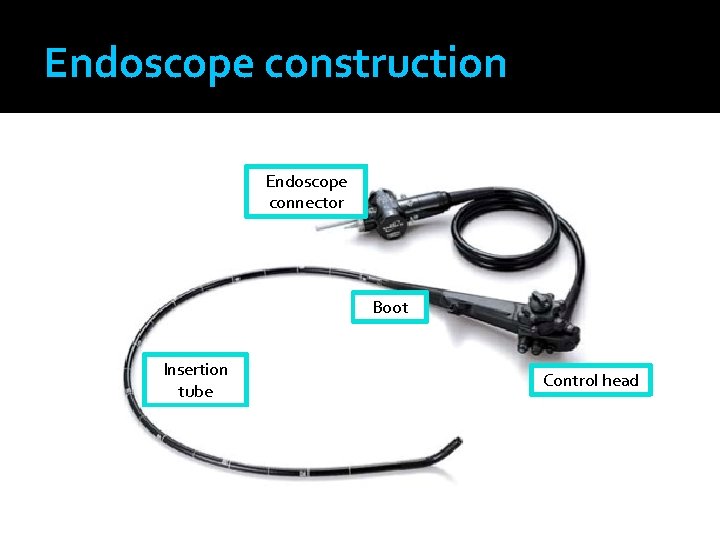Endoscope construction Endoscope connector Boot Insertion tube Control head 