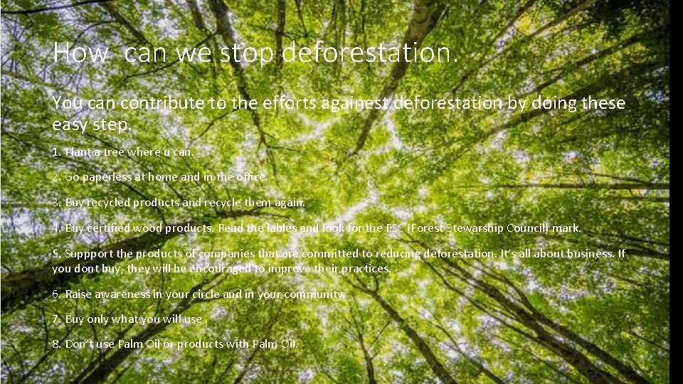 How can we stop deforestation. You can contribute to the efforts againest deforestation by