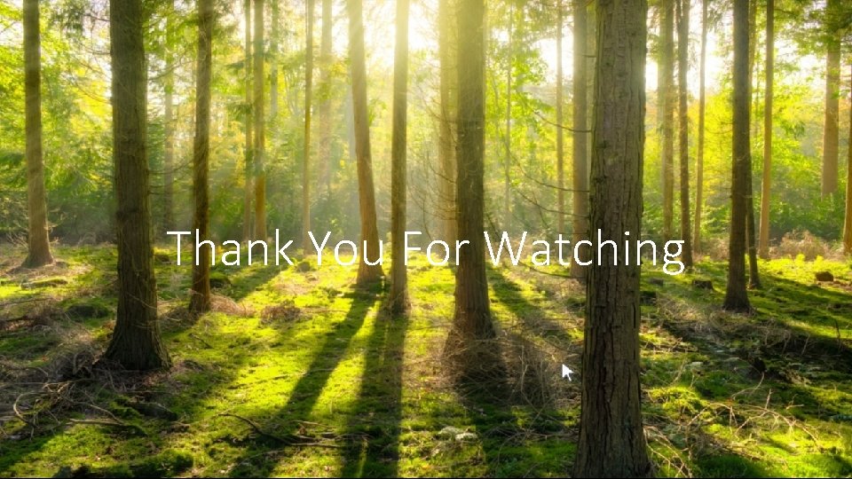 Thank You For Watching 