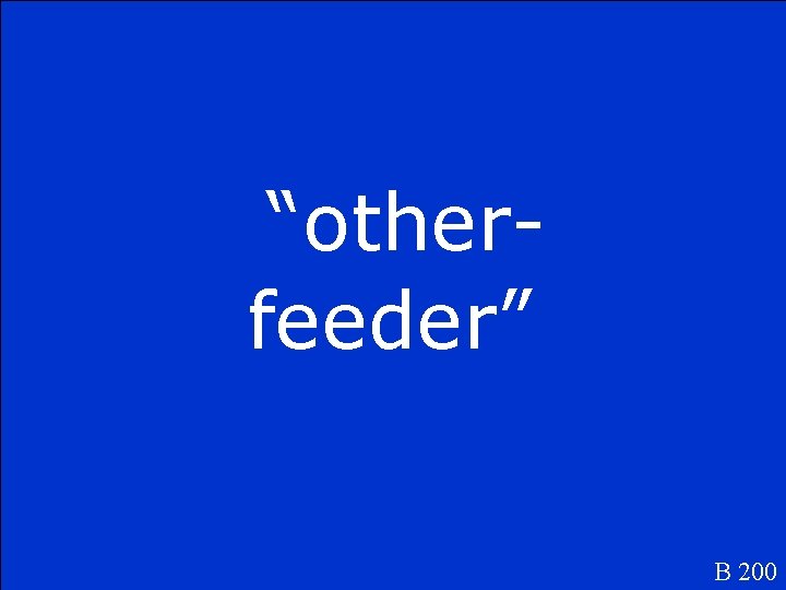 “otherfeeder” B 200 