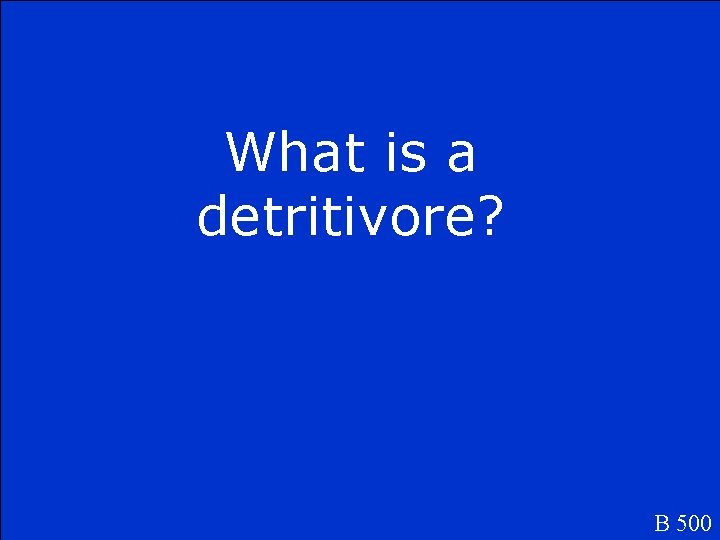 What is a detritivore? B 500 