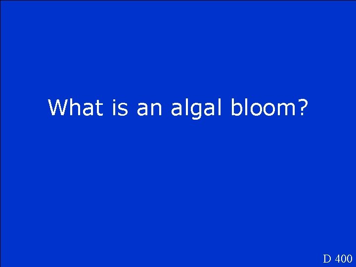 What is an algal bloom? D 400 