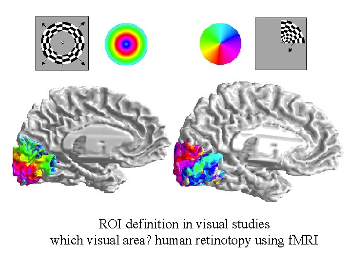 ROI definition in visual studies which visual area? human retinotopy using f. MRI 