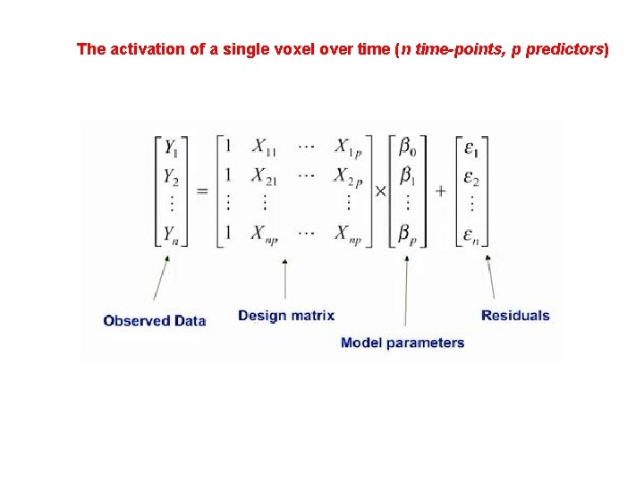 The activation of a single voxel over time (n time-points, p predictors) 