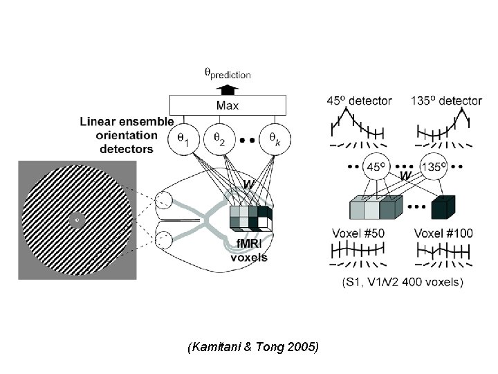 (Kamitani & Tong 2005) 