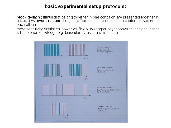 basic experimental setup protocols: • • block design (stimuli that belong together in one