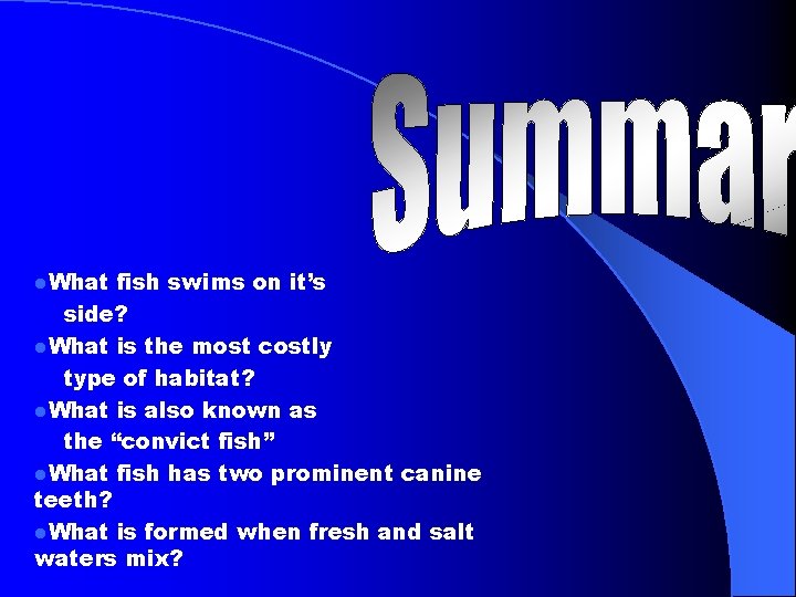 l. What fish swims on it’s side? l. What is the most costly type