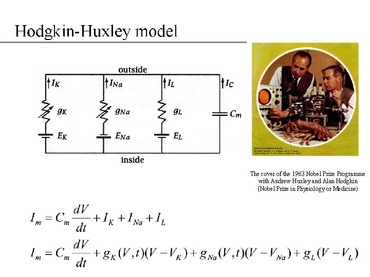 The cover of the 1963 Nobel Prize Programme with Andrew Huxley and Alan Hodgkin