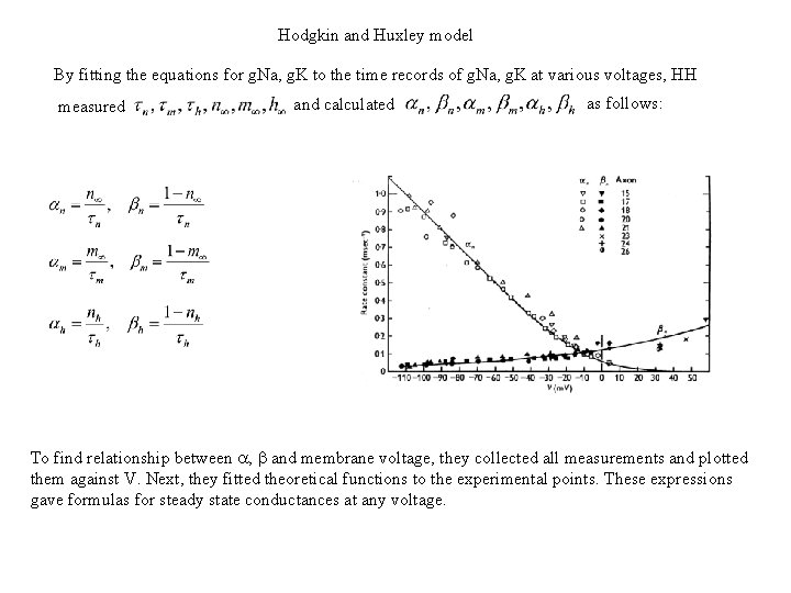 Hodgkin and Huxley model By fitting the equations for g. Na, g. K to