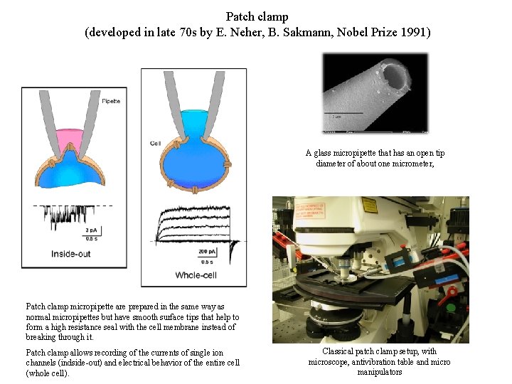 Patch clamp (developed in late 70 s by E. Neher, B. Sakmann, Nobel Prize