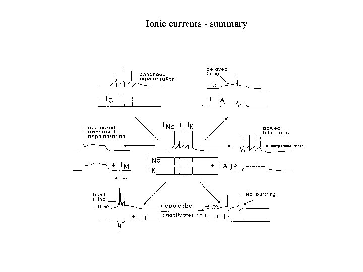 Ionic currents - summary 