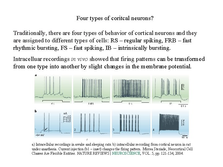 Four types of coritcal neurons? Traditionally, there are four types of behavior of cortical