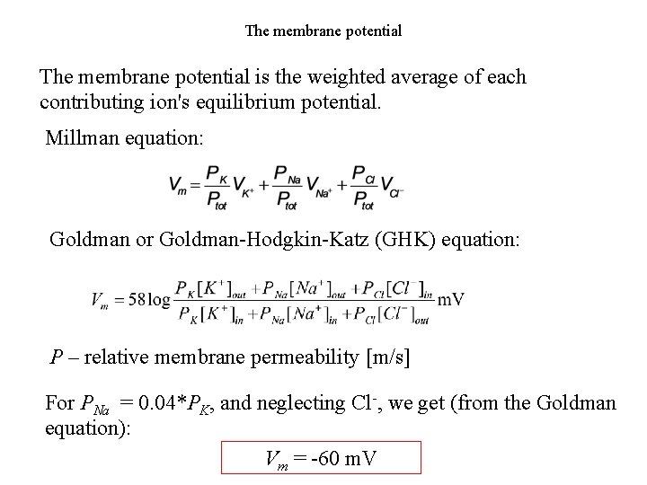 The membrane potential is the weighted average of each contributing ion's equilibrium potential. Millman