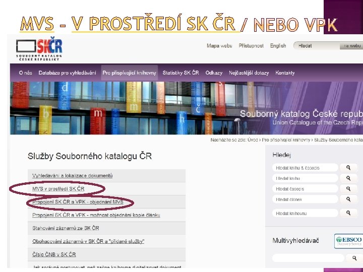 MVS V PROSTŘEDÍ SK ČR 