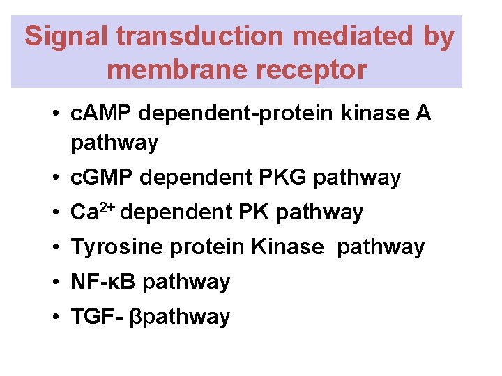 Signal transduction mediated by membrane receptor • c. AMP dependent-protein kinase A pathway •