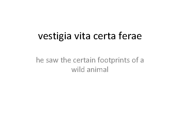 vestigia vita certa ferae he saw the certain footprints of a wild animal 