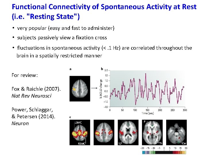 Functional Connectivity of Spontaneous Activity at Rest (i. e. "Resting State") • very popular