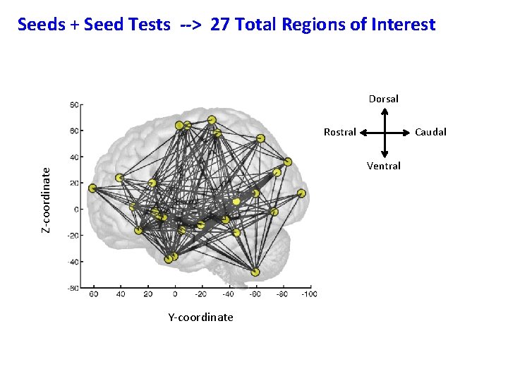 Seeds + Seed Tests --> 27 Total Regions of Interest Dorsal Rostral Caudal Z-coordinate