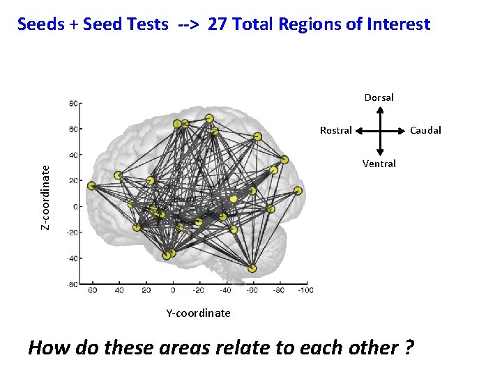 Seeds + Seed Tests --> 27 Total Regions of Interest Dorsal Rostral Caudal Z-coordinate