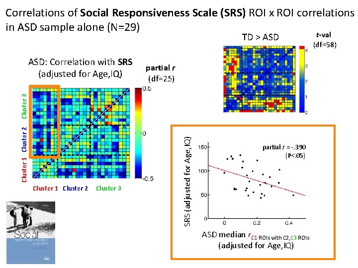 Correlations of Social Responsiveness Scale (SRS) ROI x ROI correlations in ASD sample alone