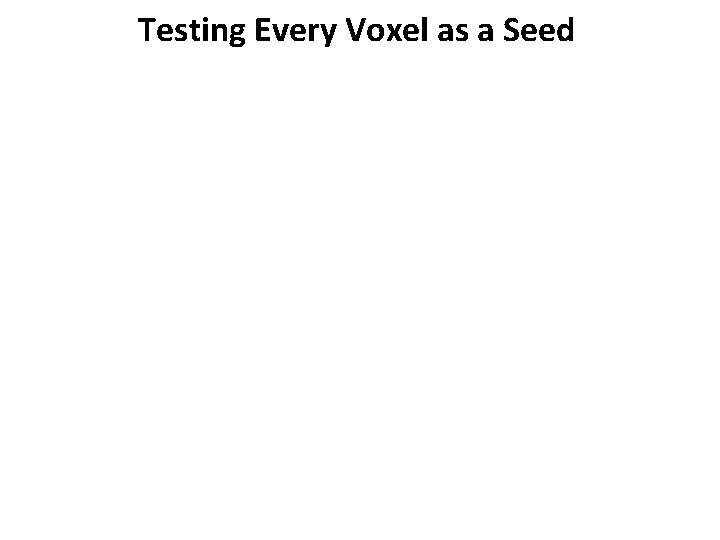 Testing Every Voxel as a Seed 