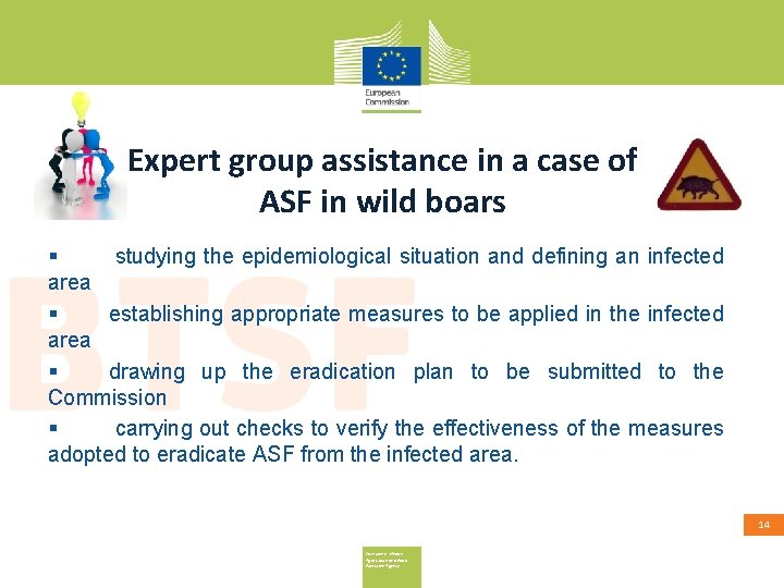 Expert group assistance in a case of ASF in wild boars § studying the