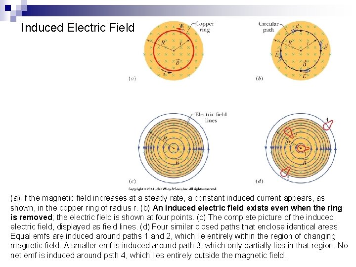 Induced Electric Field (a) If the magnetic field increases at a steady rate, a