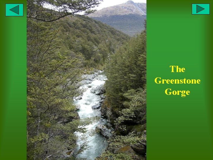 The Greenstone Gorge 