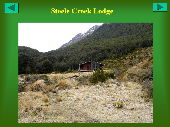 Steele Creek Lodge 