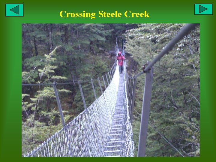 Crossing Steele Creek 