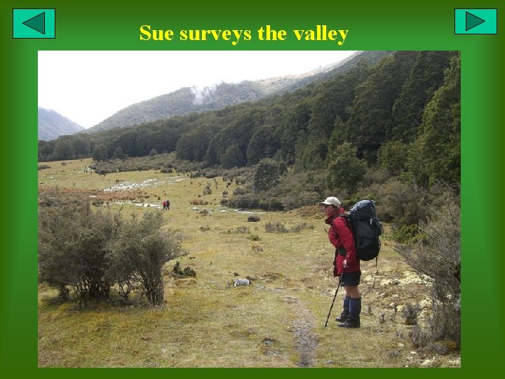 Sue surveys the valley 