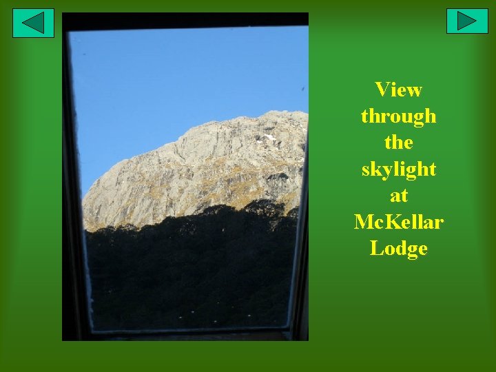 View through the skylight at Mc. Kellar Lodge 