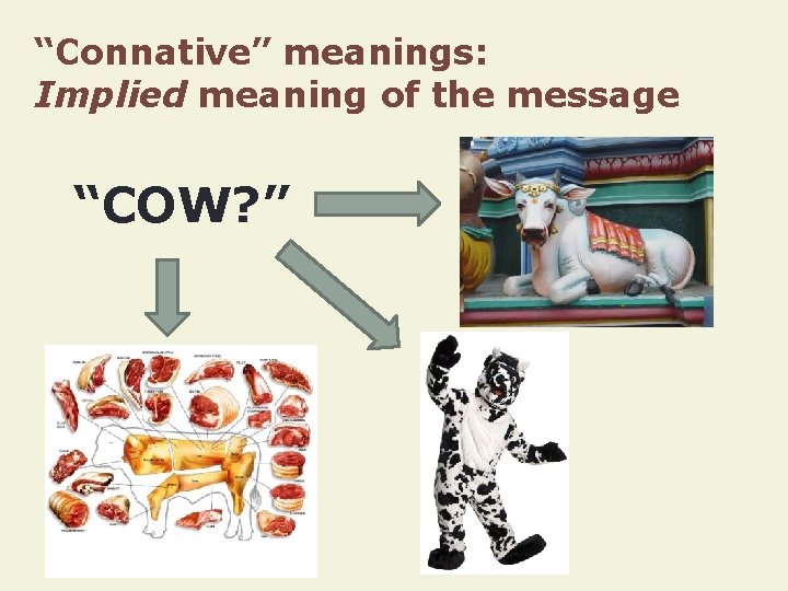 “Connative” meanings: Implied meaning of the message “COW? ” 