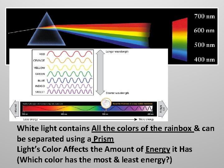 White light contains All the colors of the rainbox & can be separated using