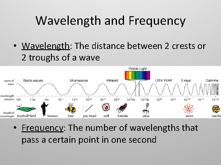 Wavelength and Frequency • Wavelength: The distance between 2 crests or 2 troughs of