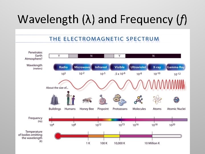 Wavelength (λ) and Frequency (f) 